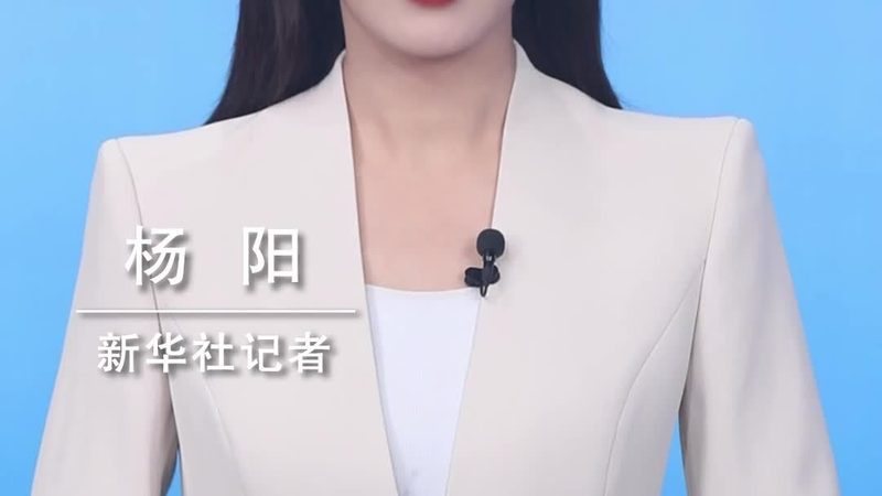 数据湖实战案例解析：优缺点全解析